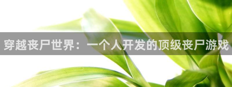 沐鸣娱乐ll官网：穿越丧尸世界：一个人开