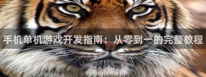 沐鸣平台是黑平台吗知乎：手机单机游戏开发