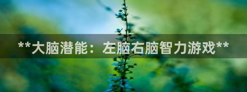 沐鸣娱乐是真的吗还是假的：**大脑潜能：