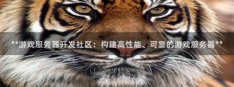 沐鸣平台注册登陆：**游戏服务器开发社区
