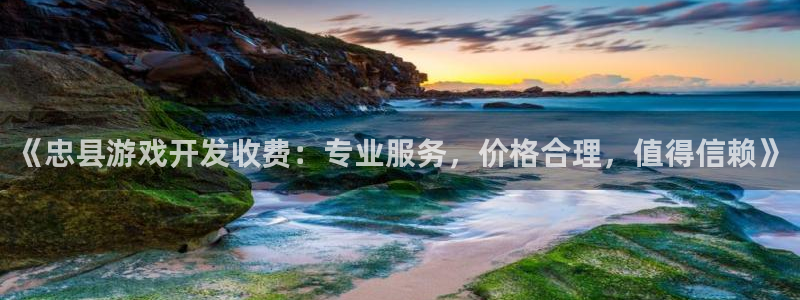 沐鸣娱乐平台登录不了：《忠县游戏开发收费