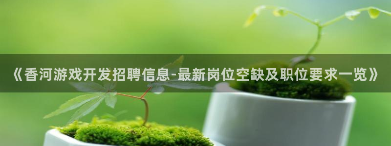 沐鸣娱乐平台登录入口官网：《香河游戏开发
