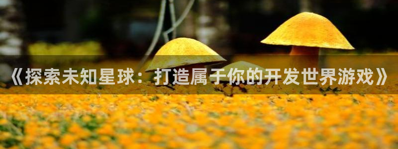 沐鸣平台官网：《探索未知星球：打造属于你