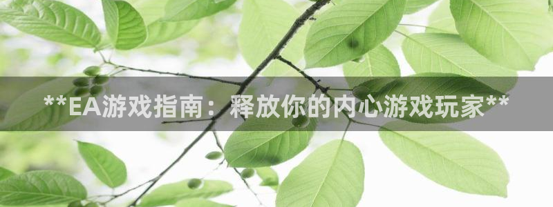 沐鸣科技做的游戏叫什么：**EA游戏指南