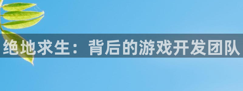 沐鸣在线登录：绝地求生：背后的游戏开发团