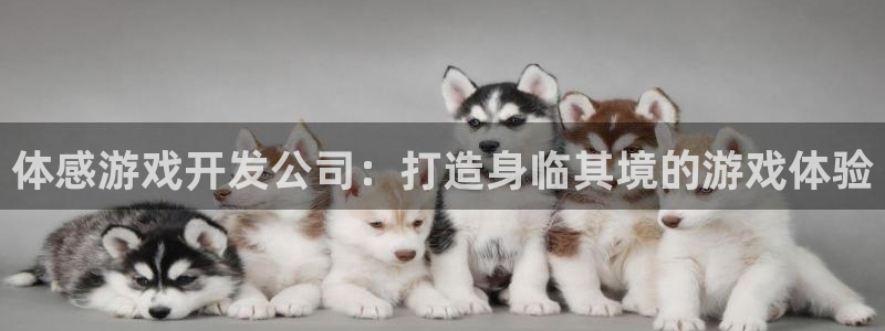 沐鸣平台注册资金多少钱：体感游戏开发公司