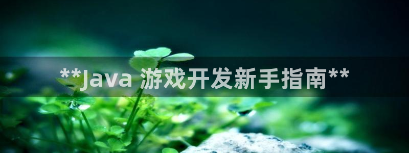 沐鸣代理注册：**Java 游戏开发新手