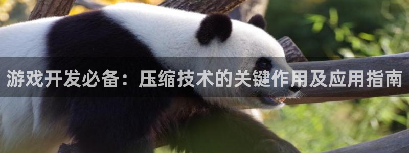 沐鸣娱乐平台大不大：游戏开发必备：压缩技