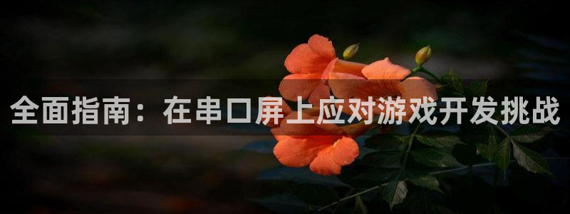 沐鸣科技有限公司官网：全面指南：在串口屏