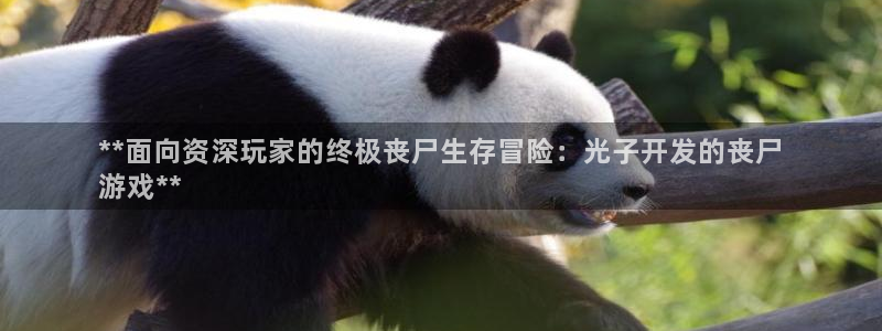 沐鸣注册地址：**面向资深玩家的终极丧尸