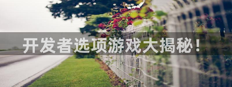 沐鸣4招商：开发者选项游戏大揭秘！