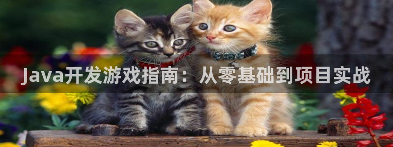 沐鸣平台招商：Java开发游戏指南：从零