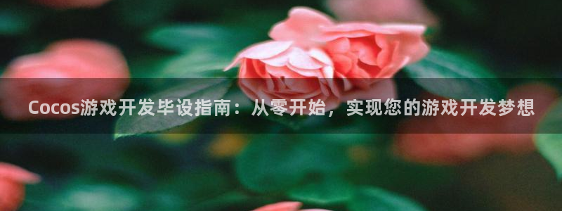 沐鸣娱乐官方平台：Cocos游戏开发毕设