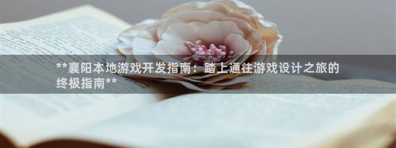 沐鸣网址：**襄阳本地游戏开发指南：踏上