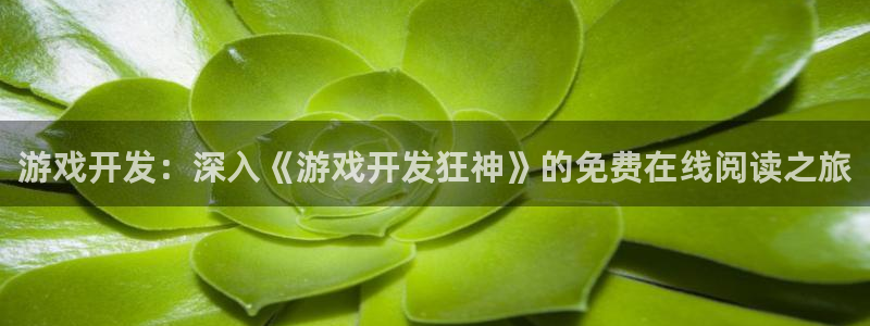 沐鸣平台登陆：游戏开发：深入《游戏开发狂