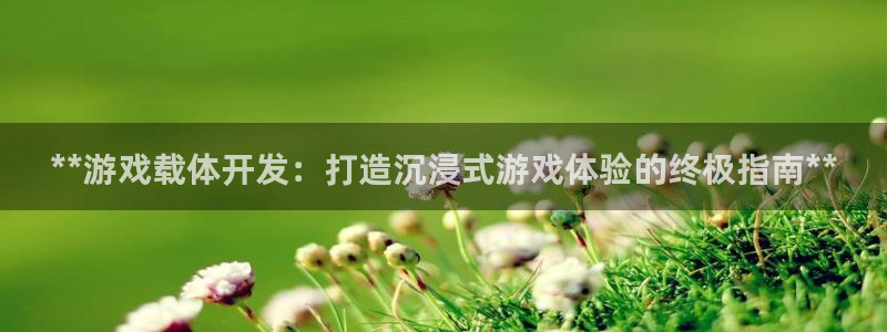 沐鸣平台代理注册：*