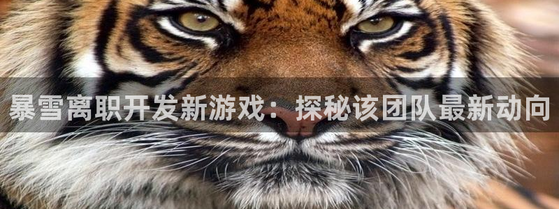沐鸣平台代理注册多少