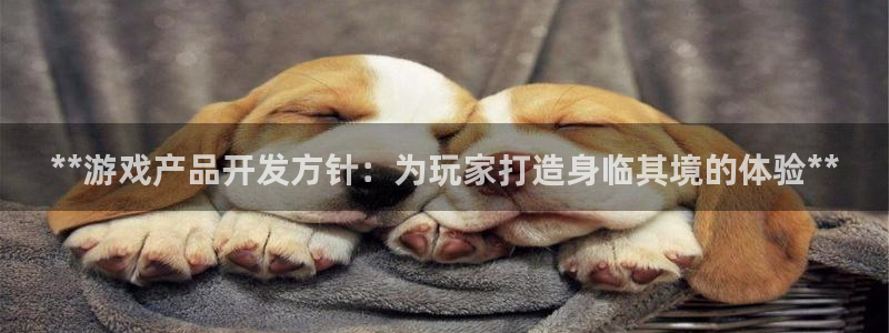 沐鸣平台官网注册：**游戏产品开发方针：
