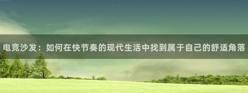 火狐电竞首页：电竞沙发：如何在快节奏的现代生活中找到属于自己的舒适角落